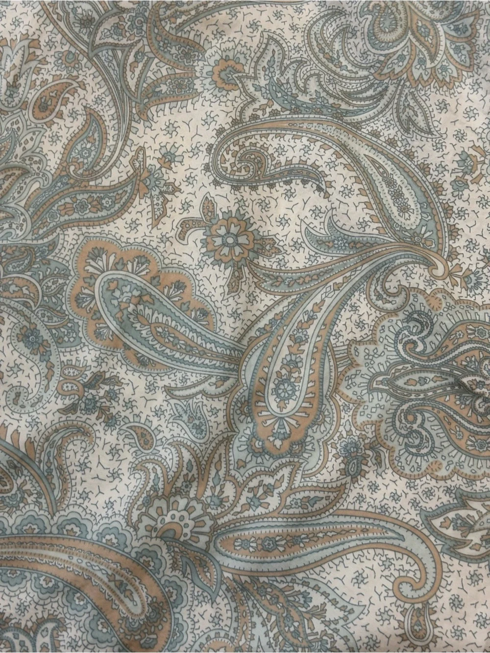 2 Harbor House Chelsea Paisley Pillow Shams Standard Teal Blue Tan Swirl Floral